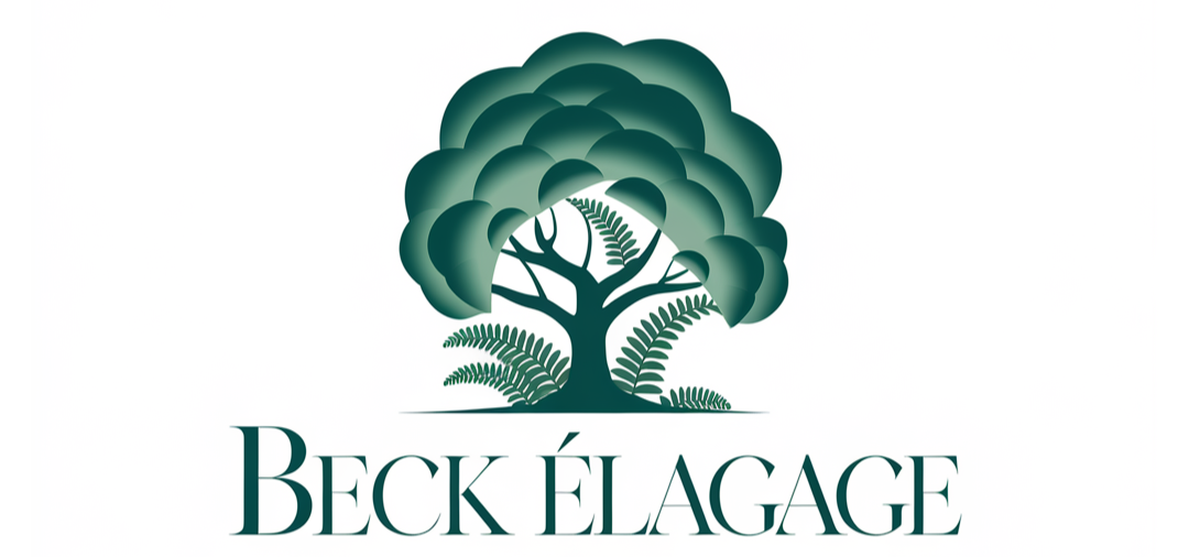 AEM Élagage